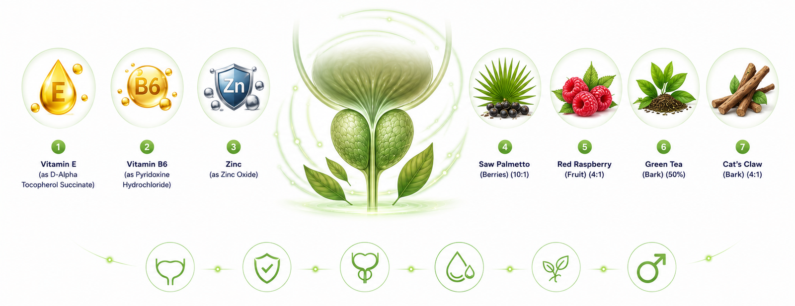 ProstaFense 17 natural ingredients